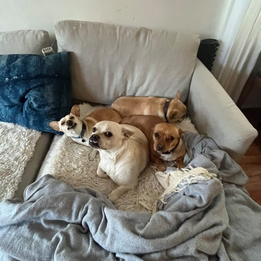 Meet your Posher, Liam